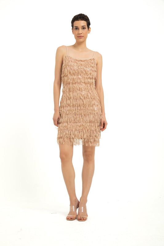 Sequin Tassel Mini Dress - Nude