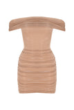 Shimmery Mesh Ruched Mini Dress - Gold