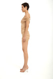 Shimmery Mesh Ruched Mini Dress - Gold